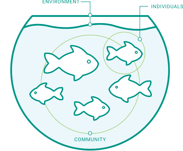 Aquarium graphic