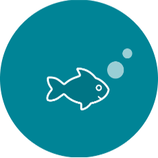 Single fish icon
