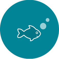 Single fish icon